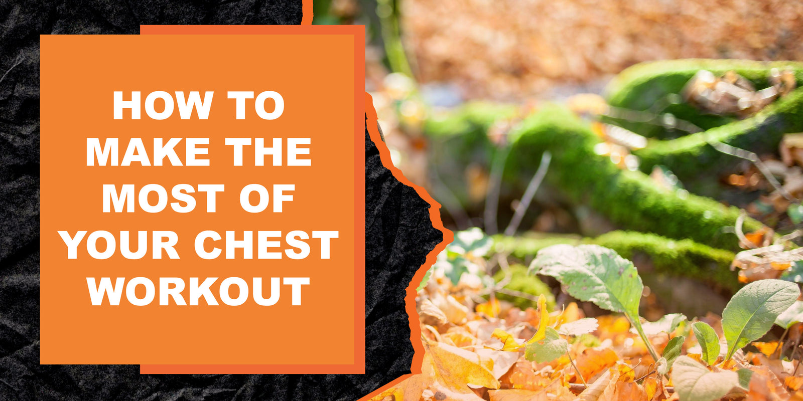 How to Make the Most of Your Chest Workout