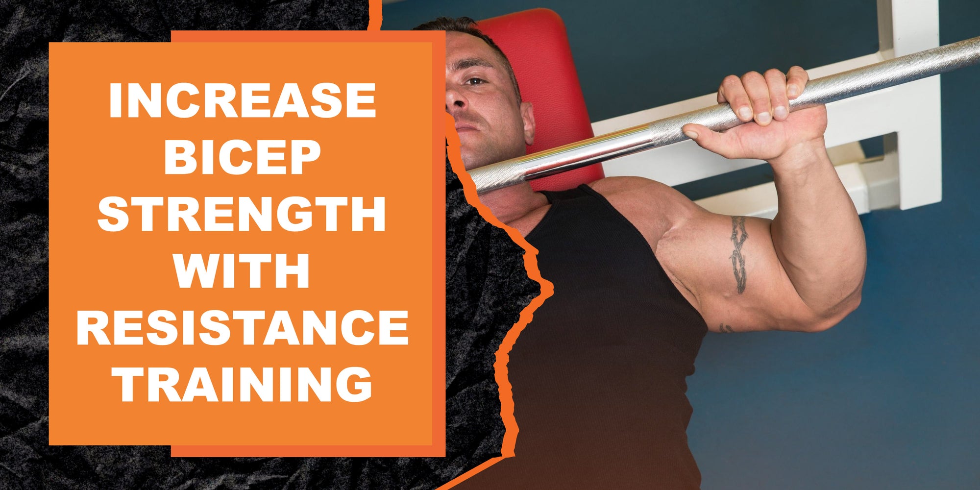 How to Increase Bicep Size and Strength with Resistance Training