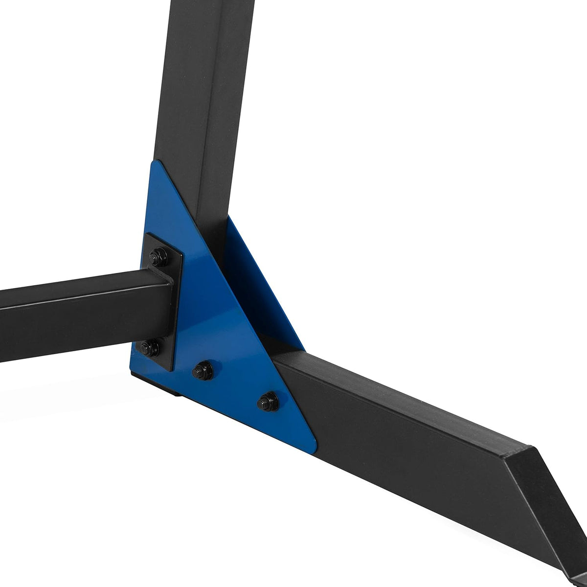 Fuel Pureformance Deluxe Dip Station