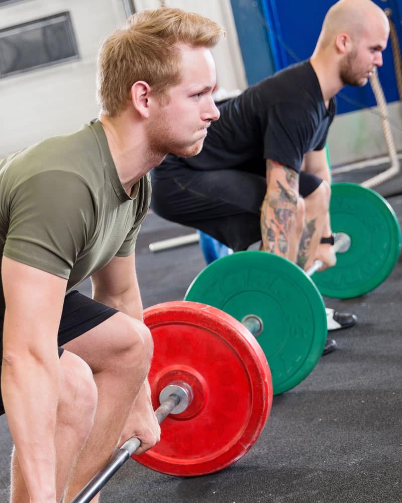 York fitness bumper online plates