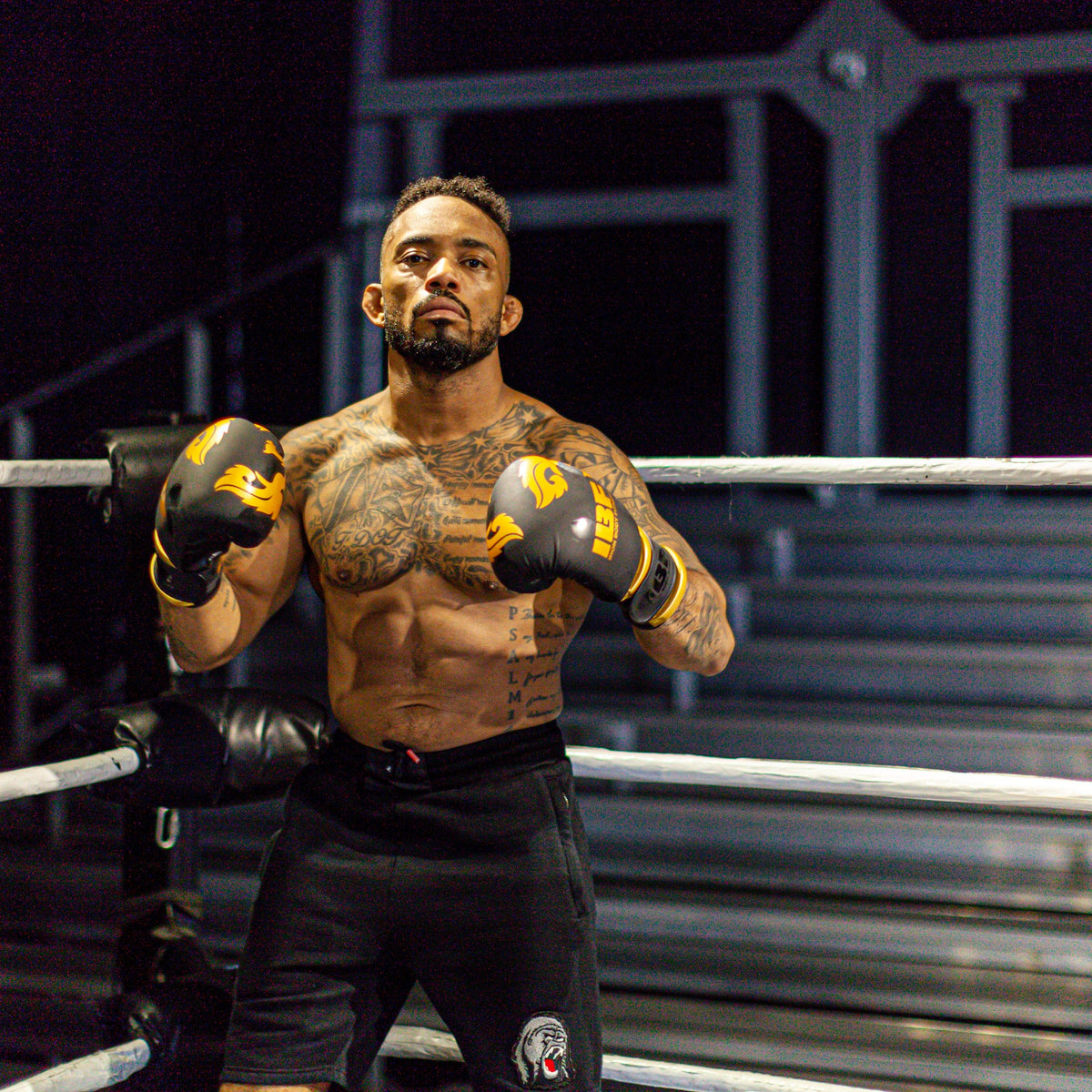 Iron Body Fitness Thai Series Boxing Gloves