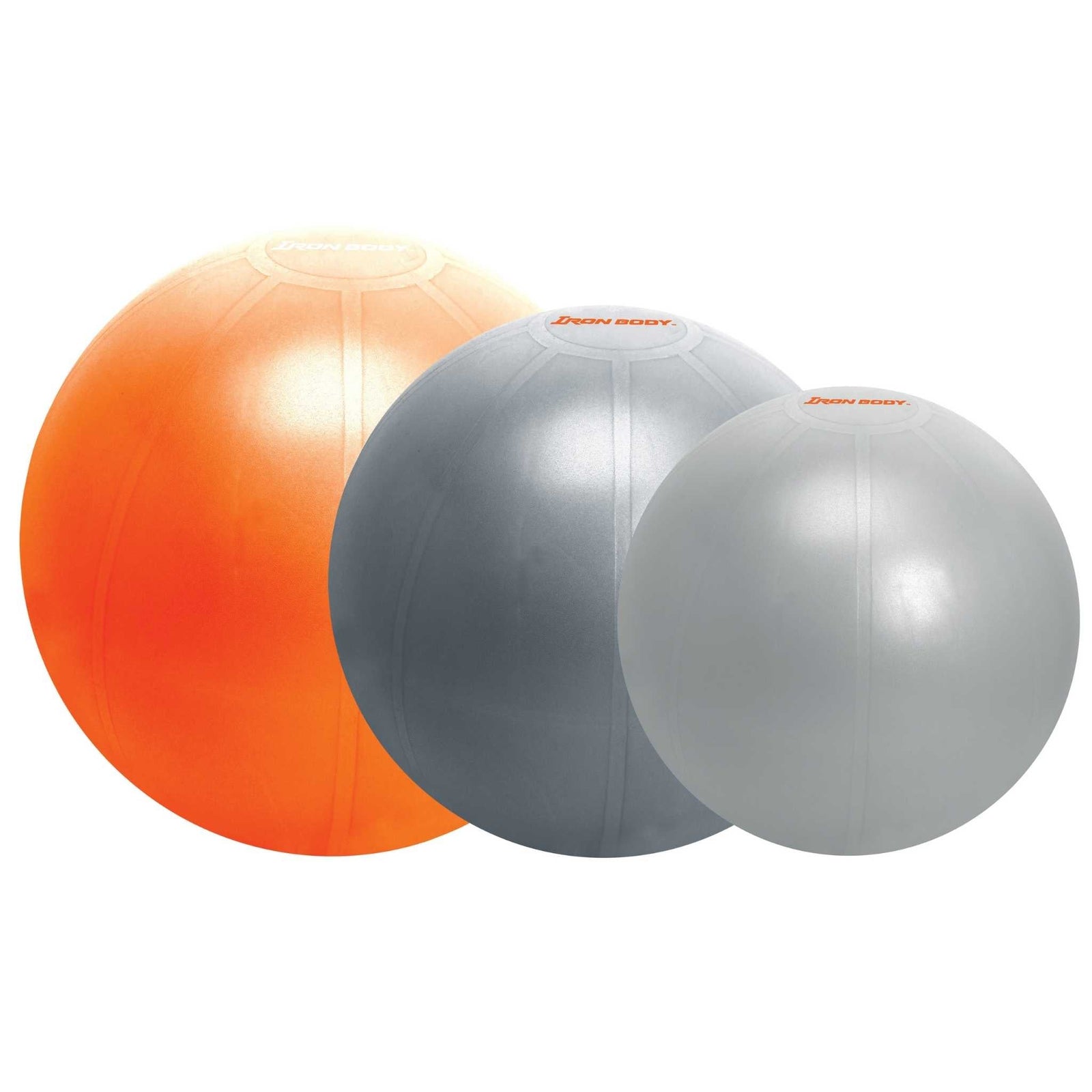 Iron Body Fitness Pro Series Exercise Ball
