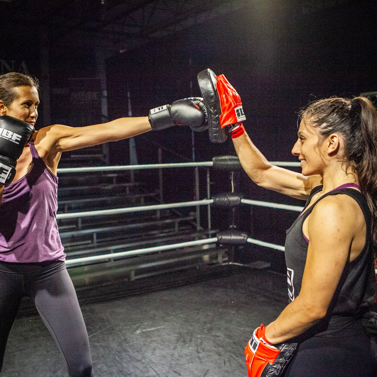 Iron Body Fitness Pro Focus Pads, Short