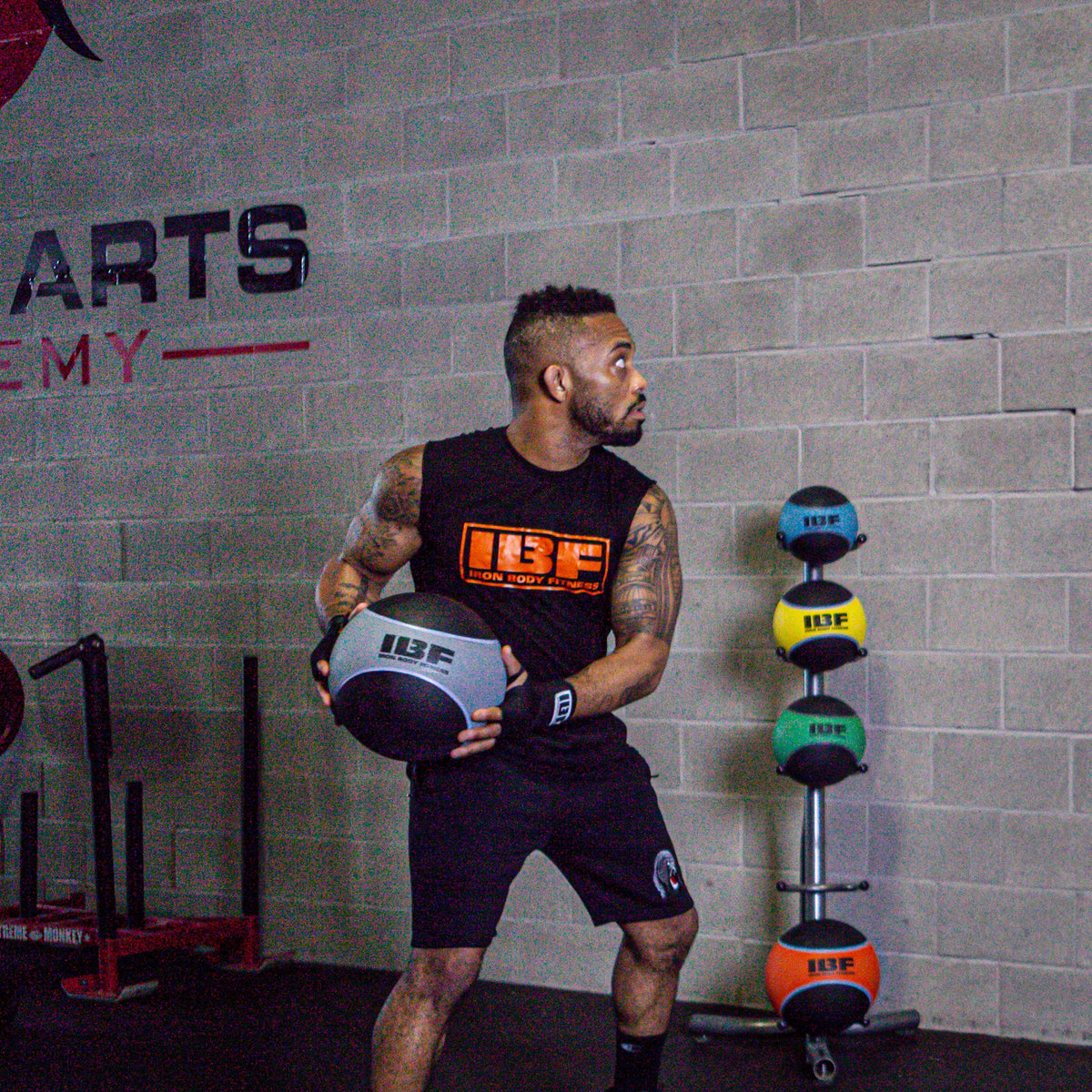 Iron Body Fitness Heavy-Duty Medicine Balls