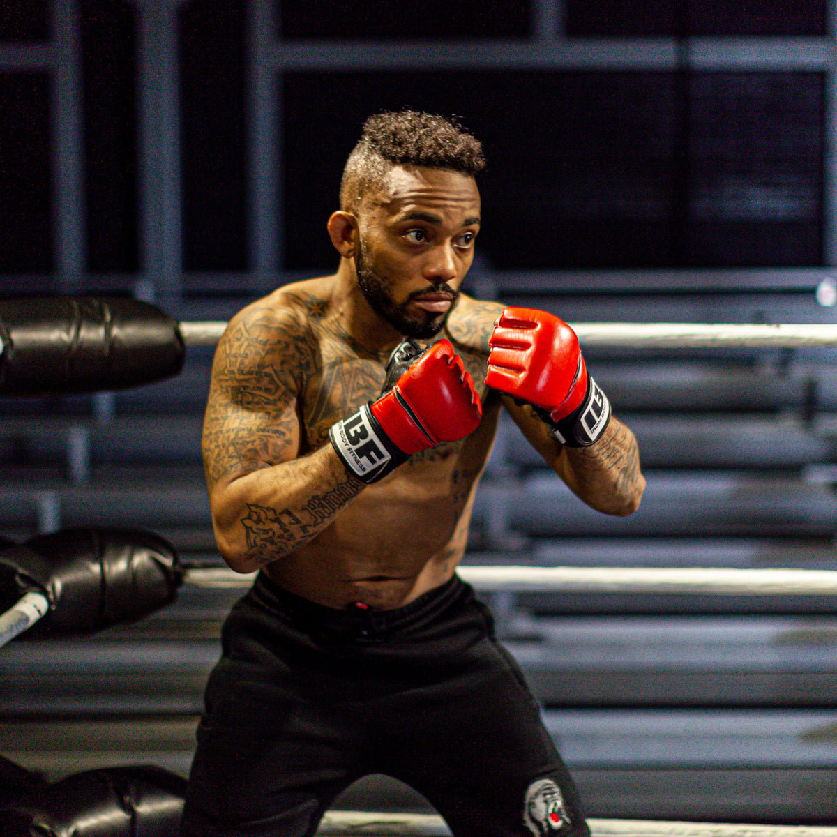 Iron Body Fitness Cage Pro MMA Gloves