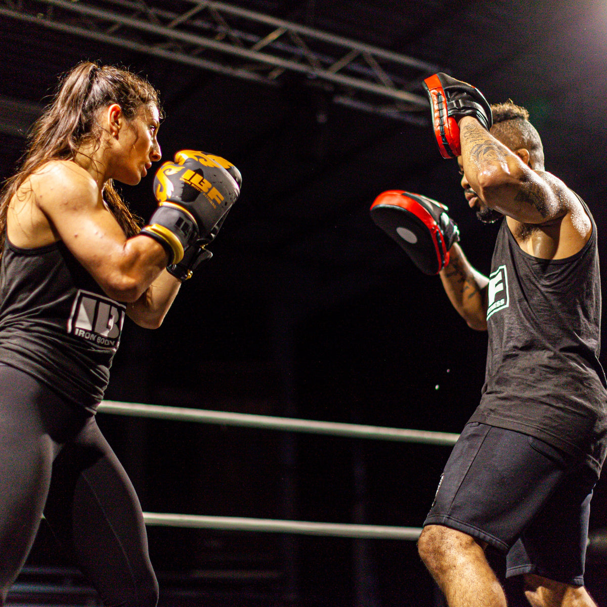 Iron Body Fitness Premium Focus Pads