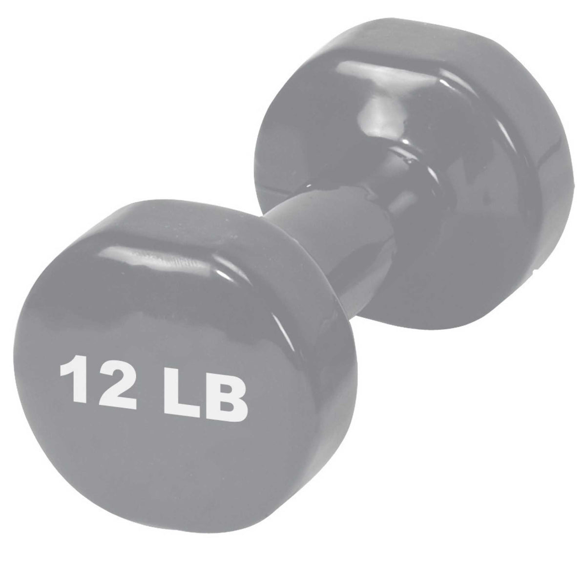 Iron Body Fitness Vinyl-Coated Dumbbells