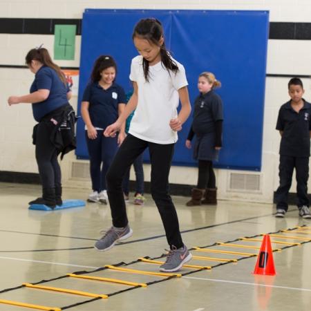 Concorde Agility Ladder