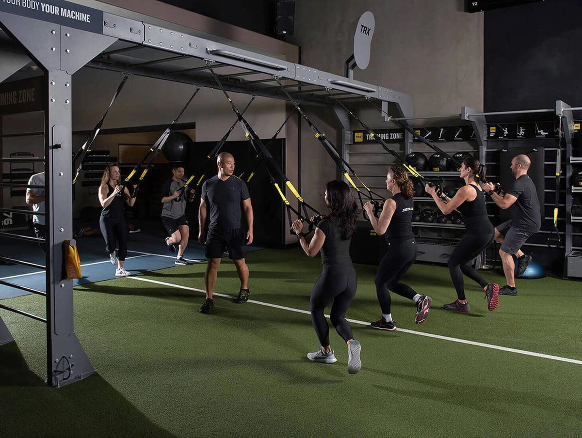 TRX Commercial Suspension Trainer