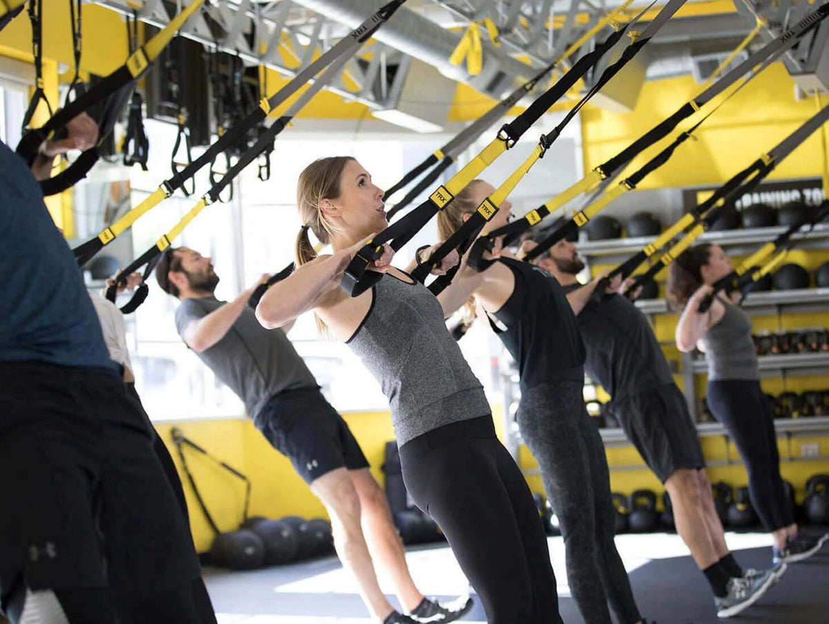 TRX Commercial Suspension Trainer