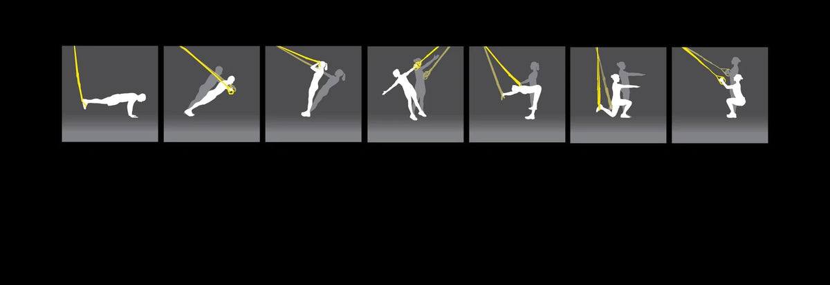 TRX Commercial Suspension Trainer